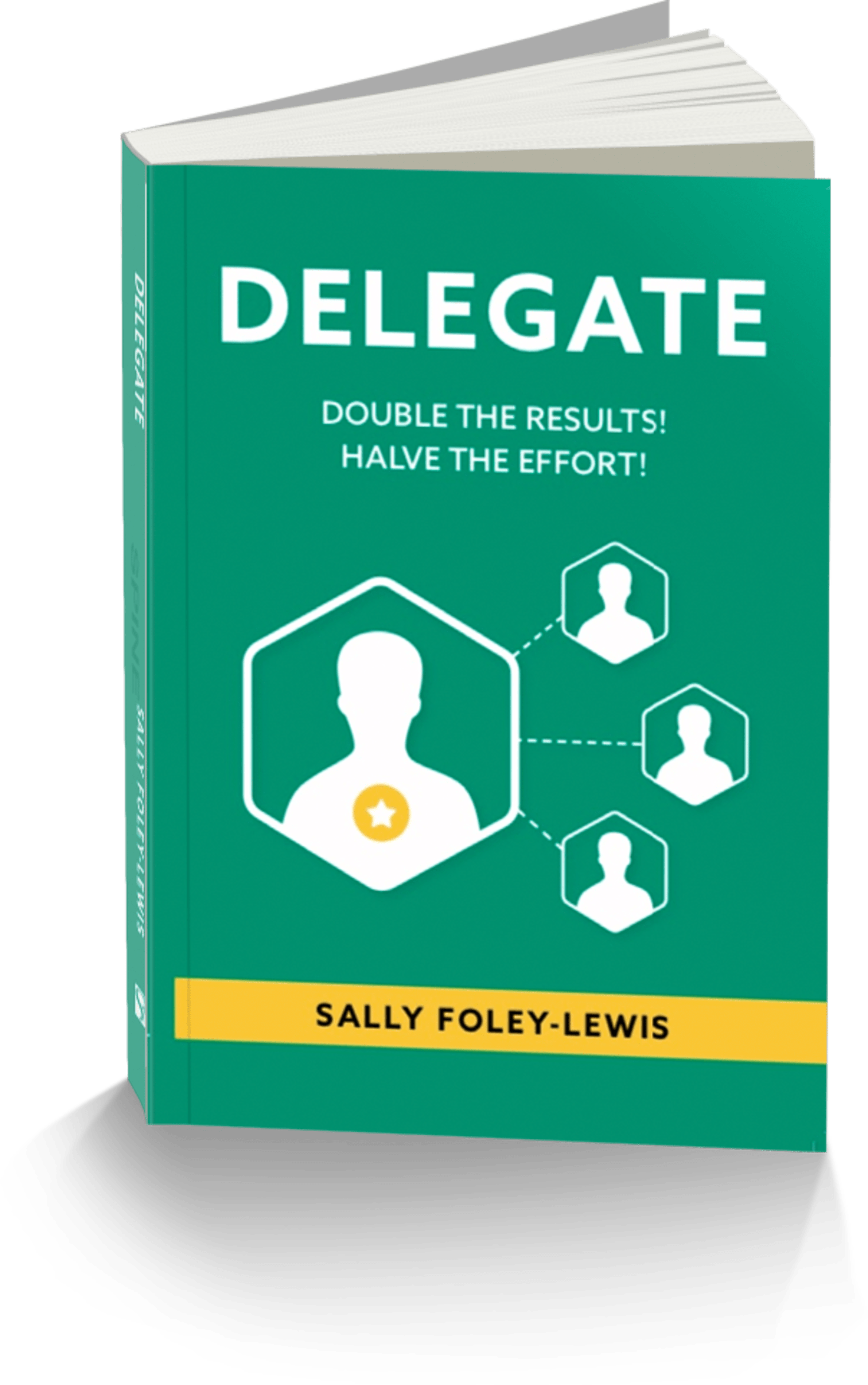 Delegate: Double the Results! Halve the Effort! book cover