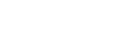 Sally Foley Lewis white logo
